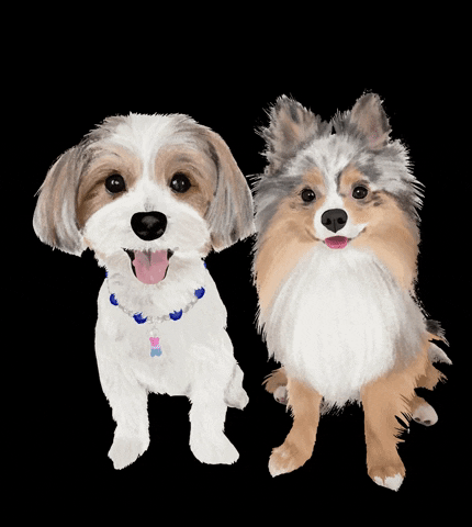 Yorkshire Terrier Pomeranian GIF by Honey Boo Designs