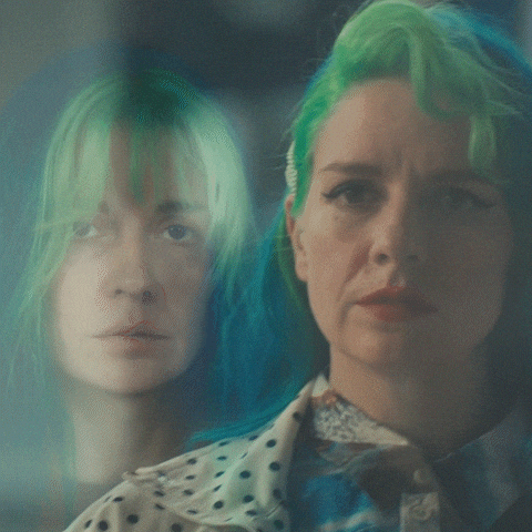 New Zealand GIF by Southern Cross NZ