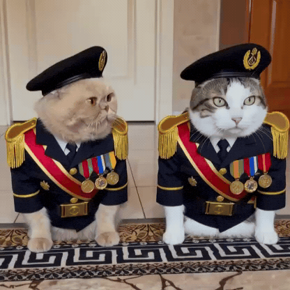 Max Respetar GIF