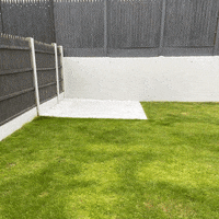 Shed Home Improvement GIF by Sheds Direct Ireland