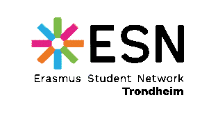 ESN Norway Sticker