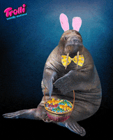Candy Easter GIF by Trolli