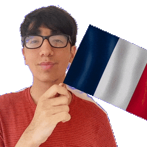 Holding France Sticker