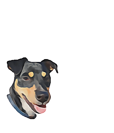 Diariodobby Sticker by Yebra Peluqueros