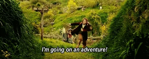 excited the lord of the rings GIF
