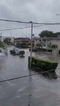 'We Need a Boat Today': Miami Hit by Flooding From Tropical Storm Eta