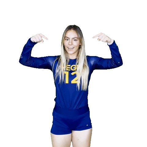 Regis University Volleyball Sticker