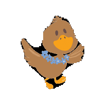 Three Little Ducks Hawaii Sticker