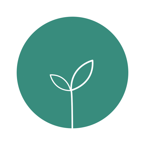 Codeseed Sticker
