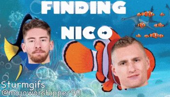 Finding Nemo Hockey GIF