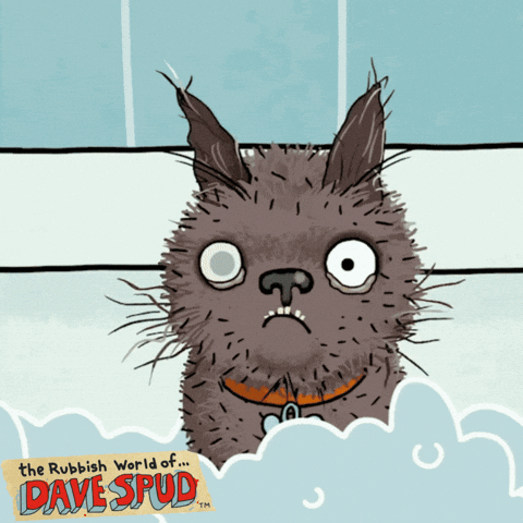 Dog GIF