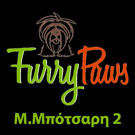 GIF by Furry Paws