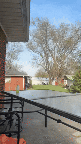 Trindyn GIF