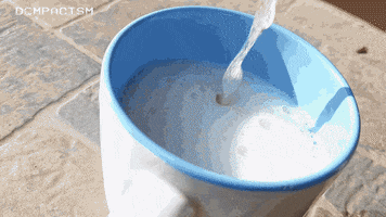 Bubbles GIF