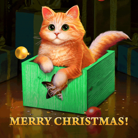 Merry Christmas Cat GIF by G5 games