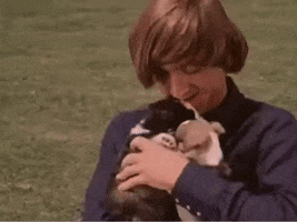 Peter Tork Dogs GIF by The Monkees