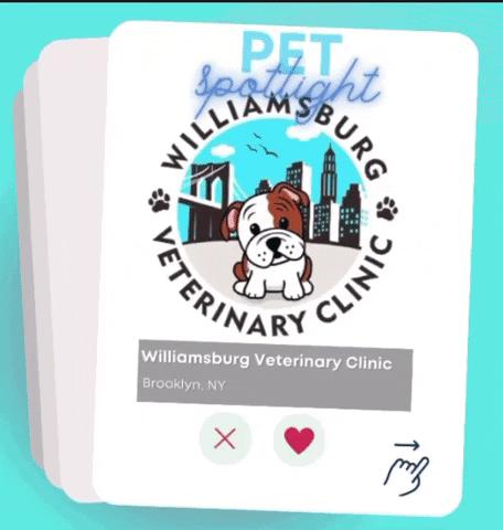 Williamsburg Veterinary Clinic GIF by Williamsburgvets