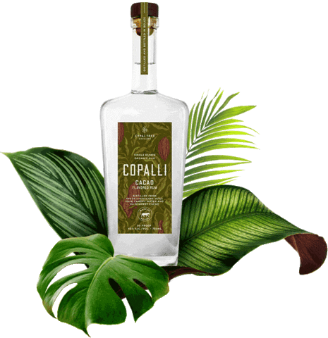 CopalliRumUS Sticker