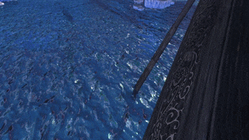 Neverwinter GIF