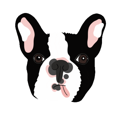 Dog Bulldog Sticker by Sweet & Deco