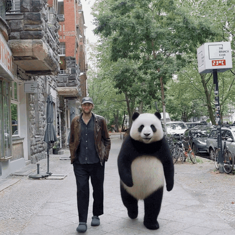 Sad Panda GIF by Akyn Machine