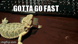 go-fast meme gif