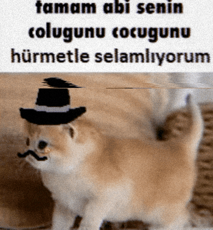 Tr GIF