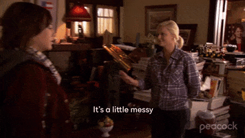 Amy Poehler Mess GIF by Parks and Recreation