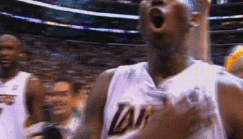 kobe bryant black mamba
