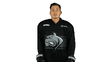 Bulldogs Dec Sticker by DornbirnBulldogs