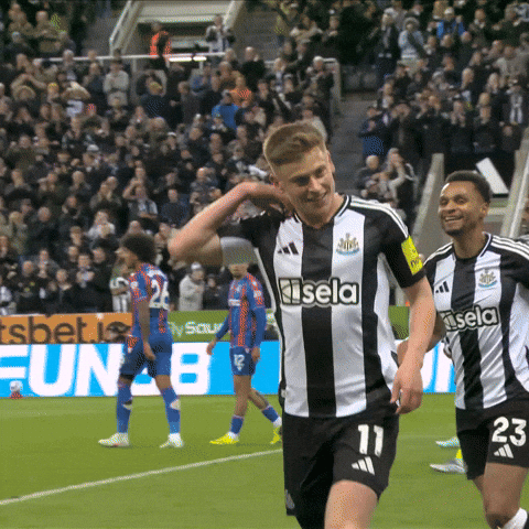 Newcastle United Barnes GIF by Newcastle United Football Club