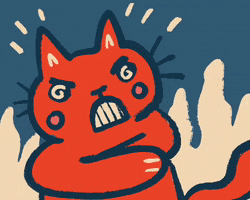 abitan cat angry fire mad GIF