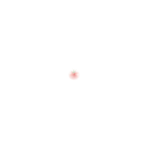 Tomato Lezzet Sticker by JrSousChef