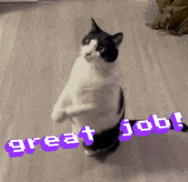 Great Job Cat GIF