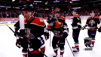 National Hockey League GIF by Florida Panthers