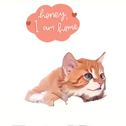 Love You Home GIF by The3Flamingos