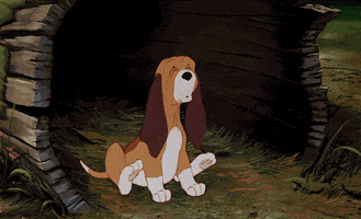walt disney animation studios puppy GIF by Disney