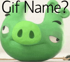 Pig GIF