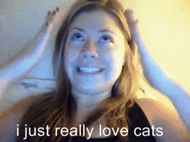 Cat Lady Cats GIF