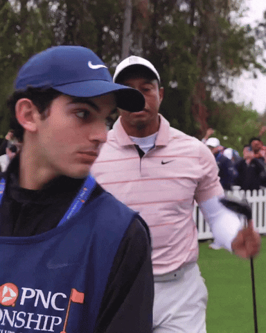 Golfing Tiger Woods GIF by hamlet