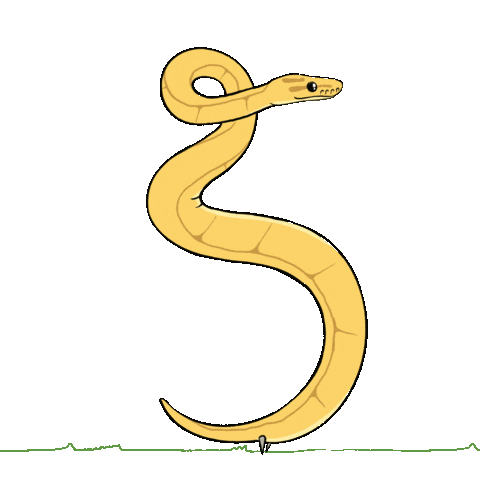 Snake Legs Sticker
