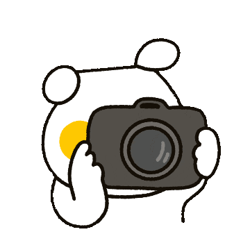 Photo Camera Sticker