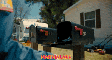 Stranger Things Mailbox GIF by Signature Entertainment