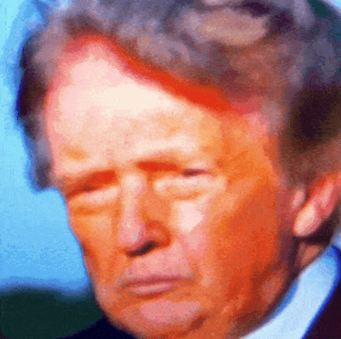Donald Trump GIF