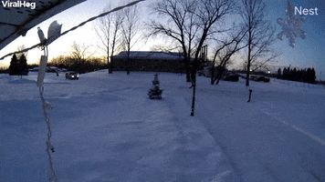 Snowmobile Crashes Into Garage Moments After Owners Leave GIF by ViralHog