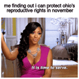 Me finding out I can protect Ohio's reproductive rights in November motion meme