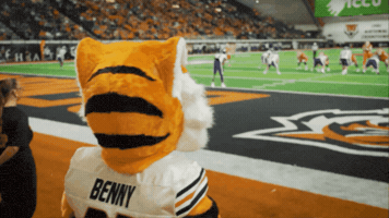 Mascot Roar GIF by Idaho State University