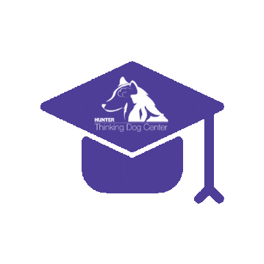 Thinking Dog Center at Hunter College Sticker