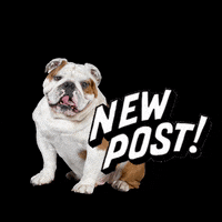 Dog Post GIF by bulldogclub