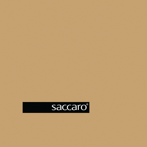 Design GIF by Saccaro